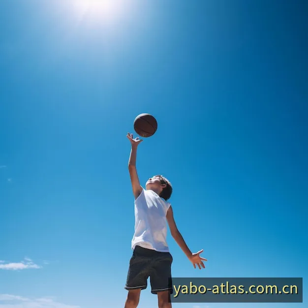 鸭脖（YABO）平台多维功能架构与终端访问图谱